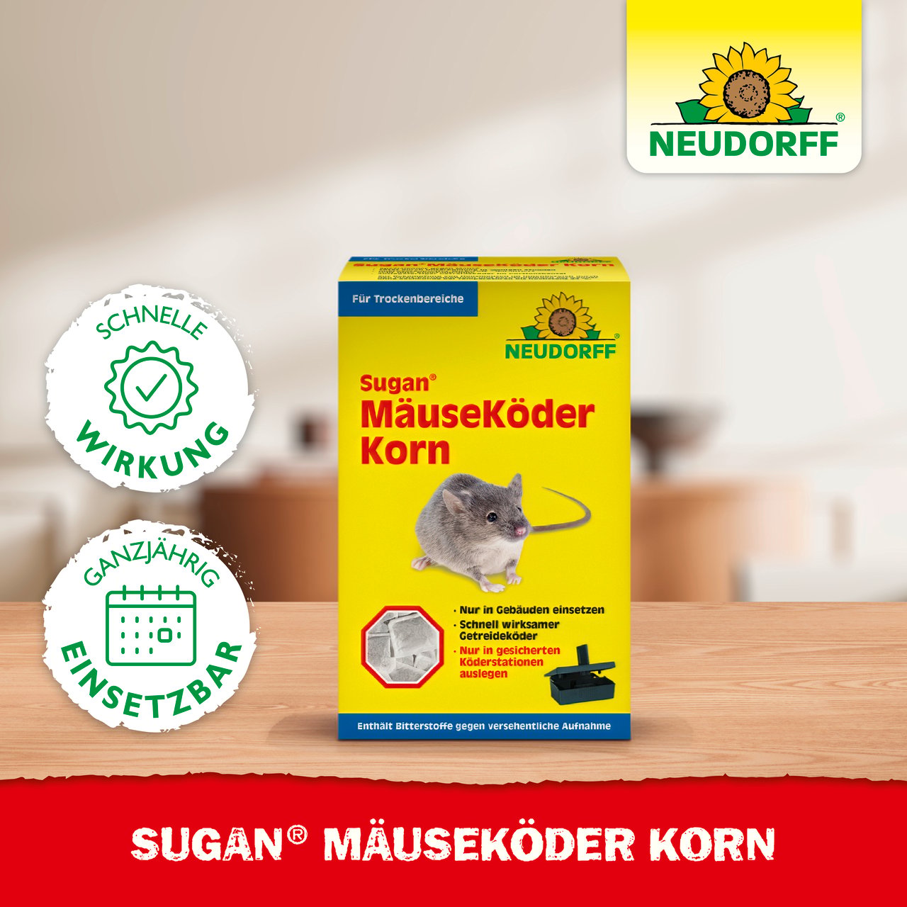 Sugan MuseKder Korn
