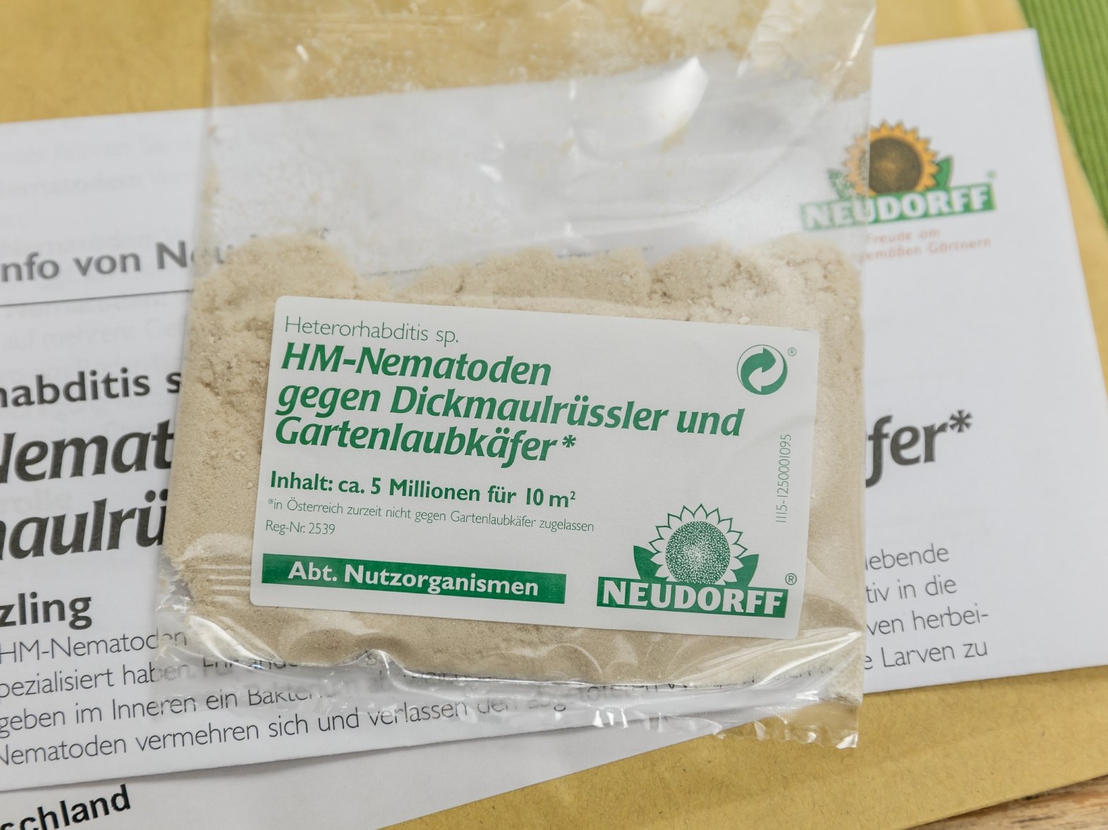 Zur Bekämpfung des Dickmaulrüsslers lassen sich HM-Nematoden einsetzen