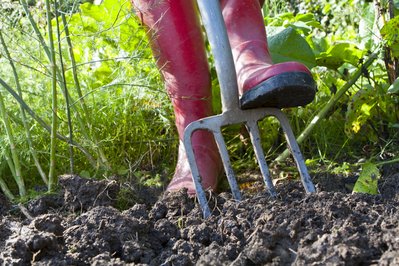 Neudorff Rasen neu anlegen so geht´s