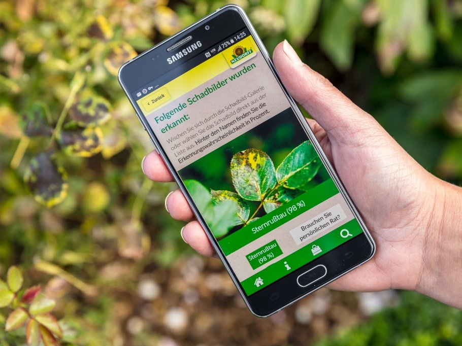Die Pflanzendoktor App von Neudorff erkennt Befall durch Dickmaulrüssler