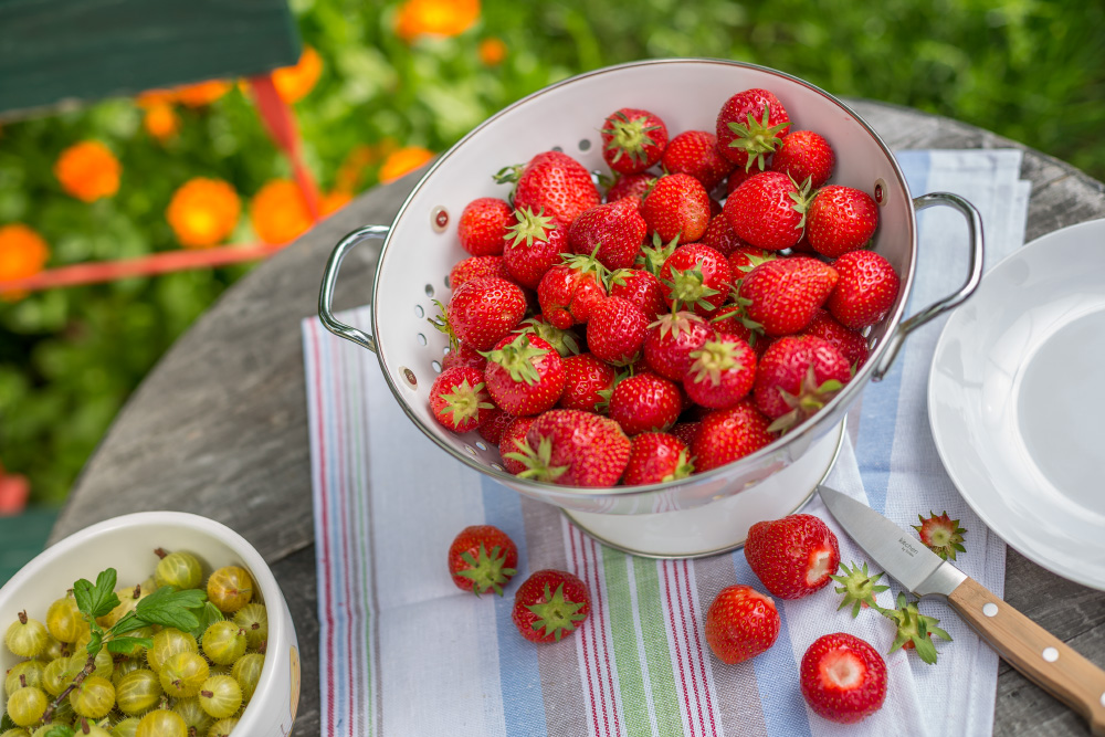 Erdbeeren