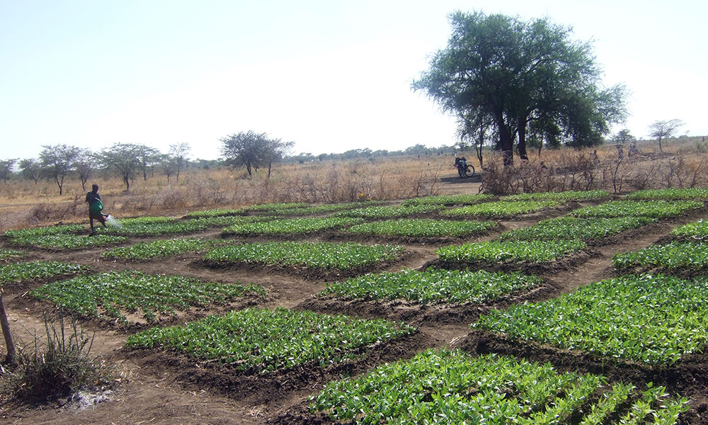 ReSoil in Uganda