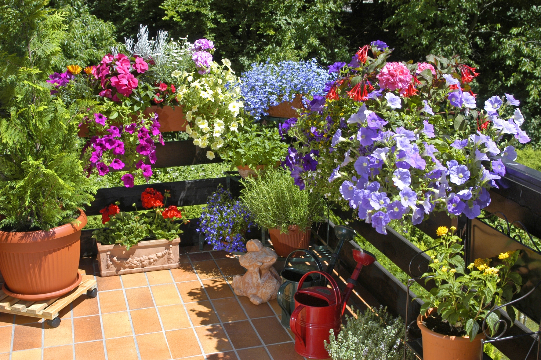 Balkonpflanzen können in Balkonkästen oder Blumenkübeln angepflanzt werden