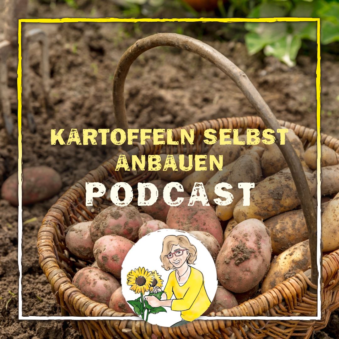 Podcast Folge 48