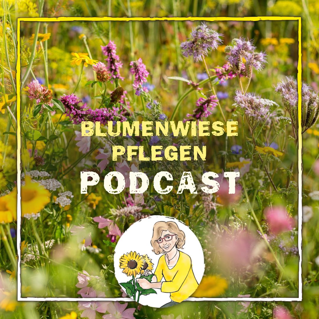 Blumenwiese pflegen