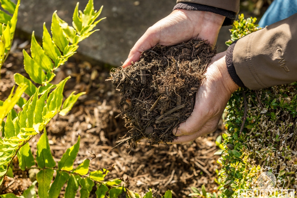 Mulchkompost wird einfach mit der Hand ausgebracht