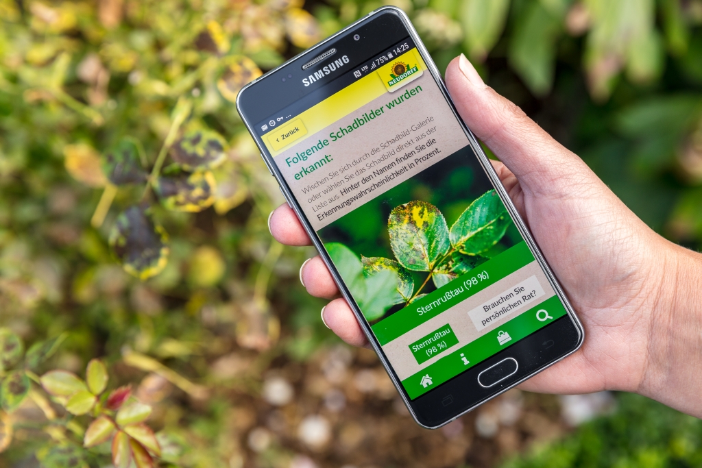 Die Pflanzendoktor App von Neudorff erkennt Blattlaus-Befall