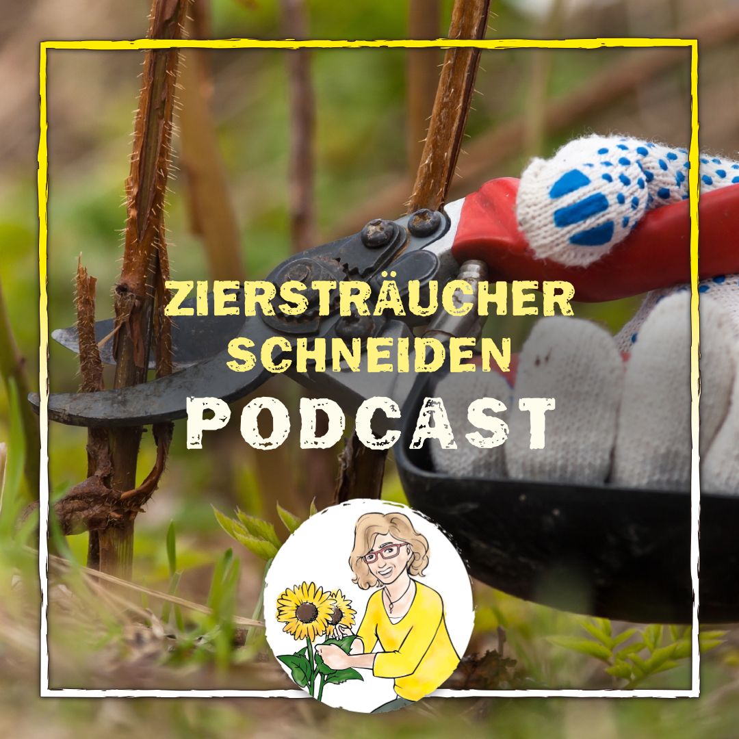 Ziersträucher schneiden