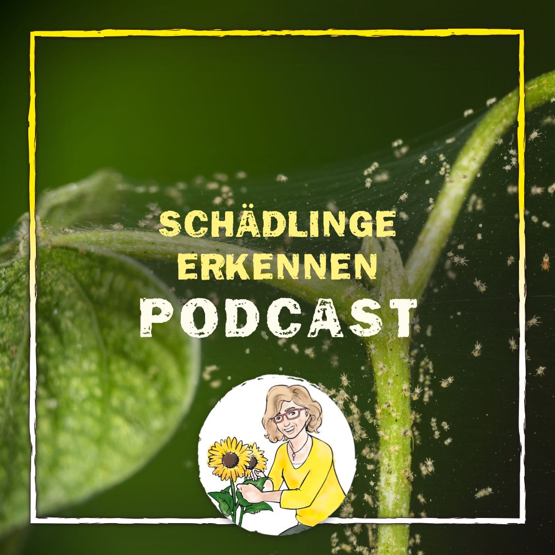 Schädling erkennen