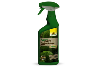 Neudorff BioKraft Vitalkur für Buxus & Ilex AF