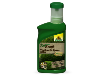 Neudorff BioKraft Vitalkur für Buxus & Ilex