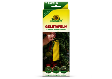 Gelbtafeln (kleinformatig)